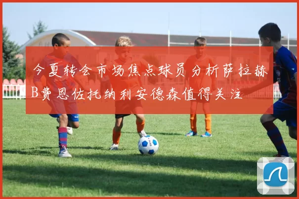 今夏转会市场焦点球员分析萨拉赫B费恩佐托纳利安德森值得关注