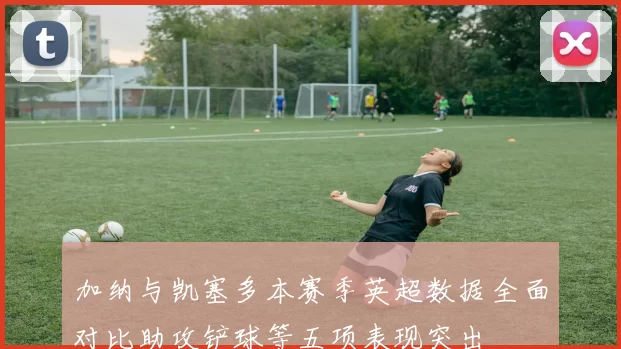 加纳与凯塞多本赛季英超数据全面对比助攻铲球等五项表现突出
